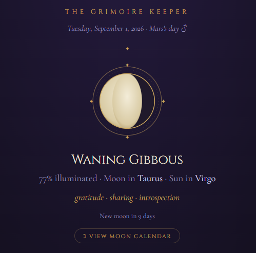 A Beginner's Guide to Starting a Digital Grimoire Practice